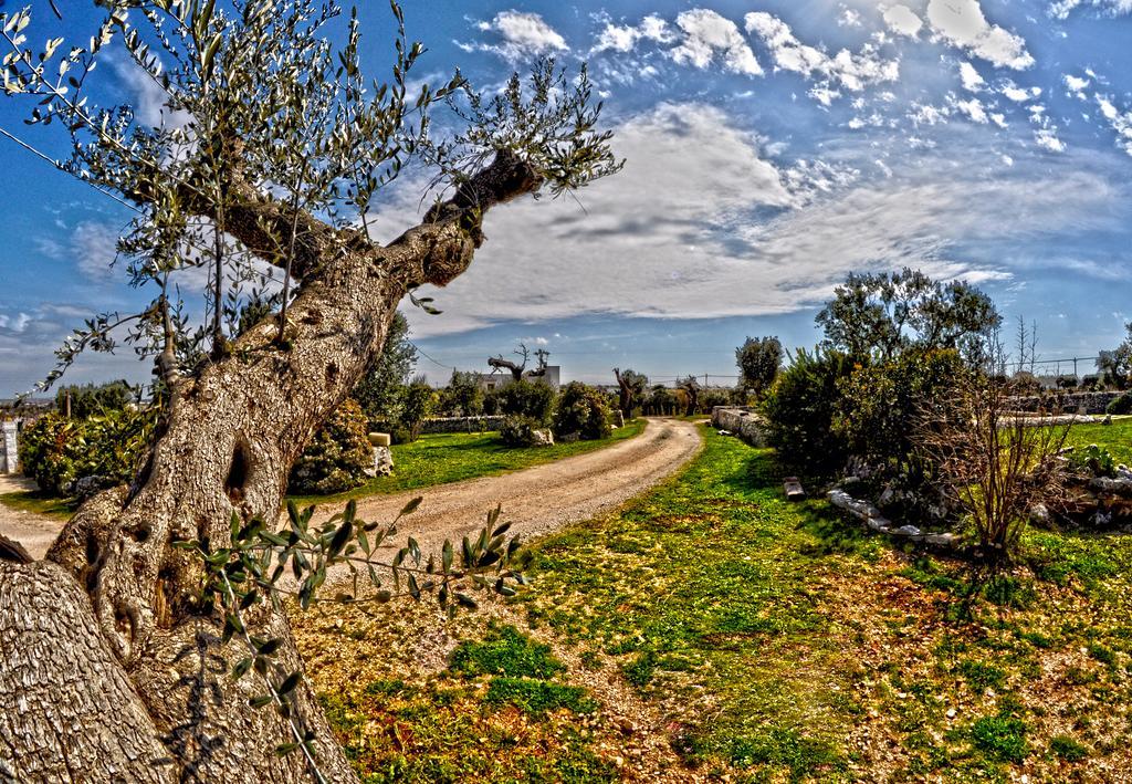 Masseria Rosa Trulli Relais Alberobello Kültér fotó