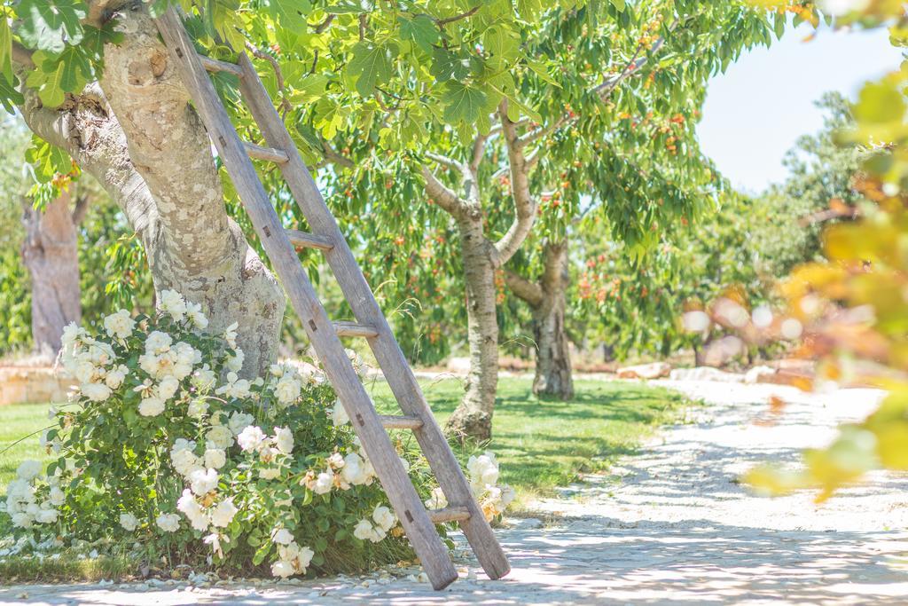 Masseria Rosa Trulli Relais Alberobello Kültér fotó